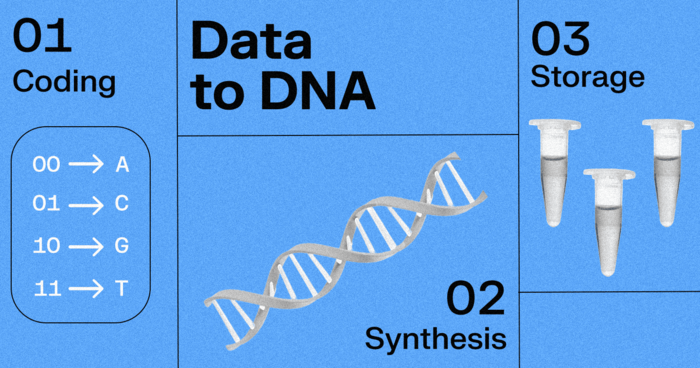 Weird long-term data storage solutions