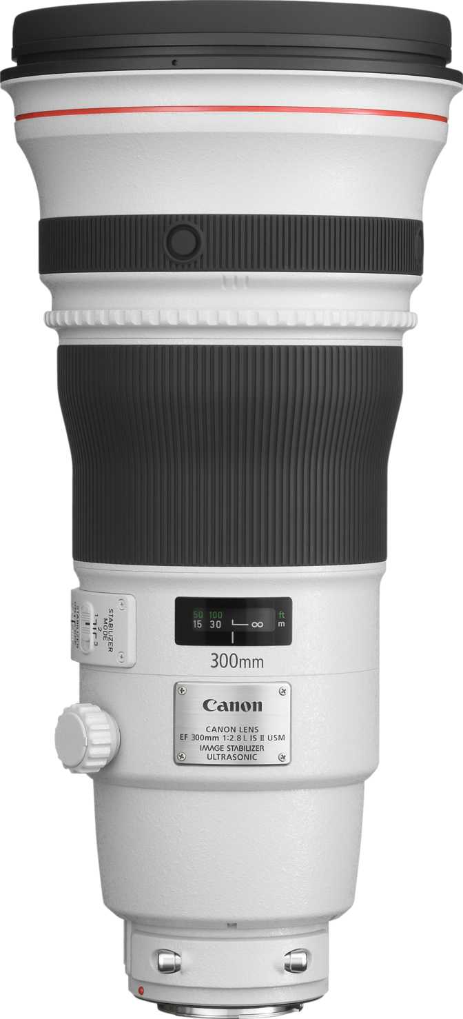 Canon EF 300mm F2.8L IS II USM análisis | 35 características