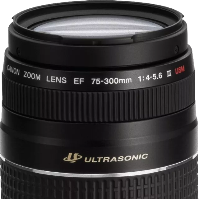 Canon EF 70-200mm F/2.8L IS II USM vs Canon EF 75-300mm F/4-5.6
