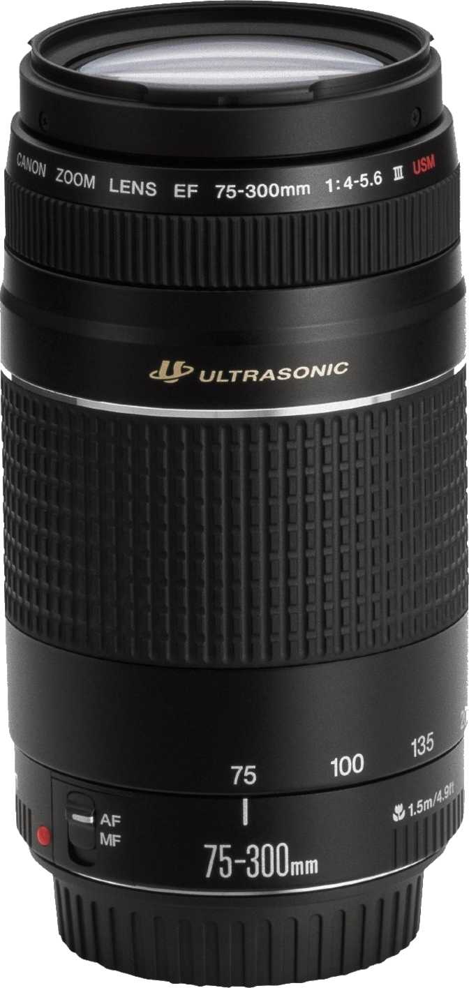 【作例あり】Canon EF 75-300mm 動作良好 軽量で扱いやすい CANON EF75-300mm f4-5.6 iii レビュー:コスパ抜群の望遠ズーム