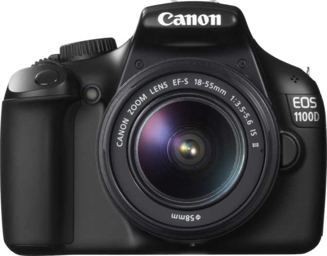 Nikon D3100 vs Nikon D40: What is the difference?
