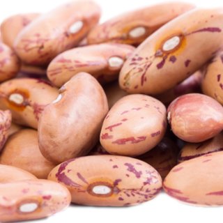 50 Cranberry Bean Seeds - E181 French Horticulture - Borlotti & Roman Bean Variety