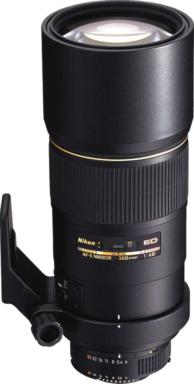 Nikon AF-S Nikkor 300mm F/4D IF-ED análisis | 35 características