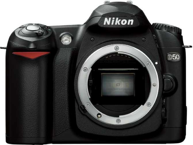 Nikon D3100 vs Nikon D40: What is the difference?