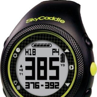 garmin skycaddie