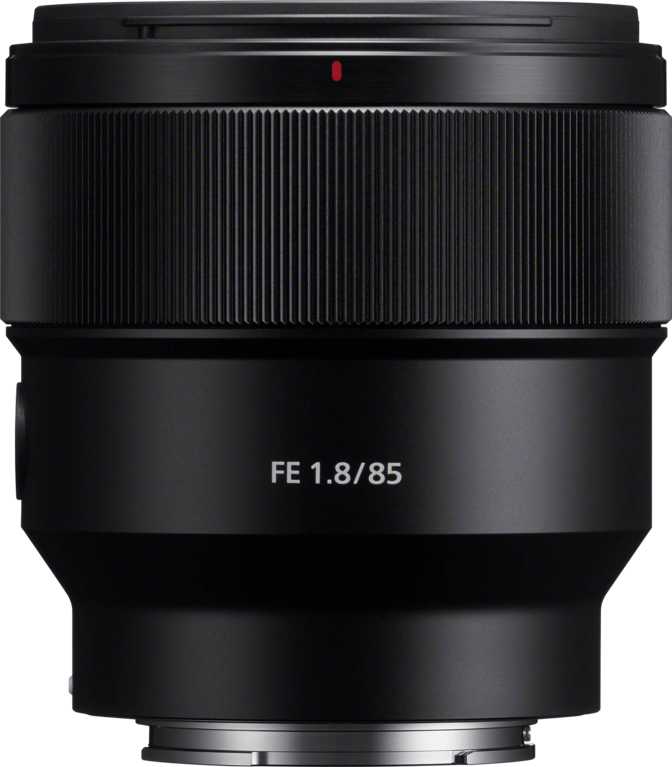 Sony FE 24-105mm f/4 G OSS vs Sony FE 85mm f/1.8: What is the